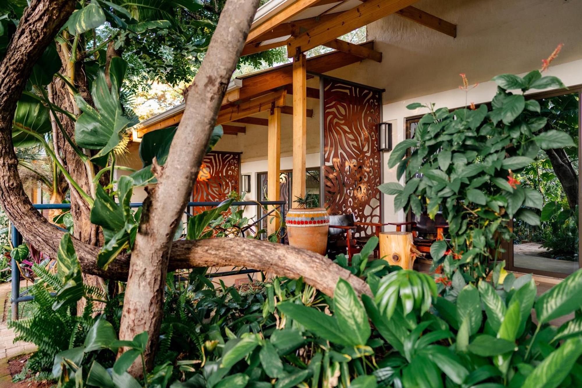 Shongwe Oasis Otel Victoria Falls Dış mekan fotoğraf