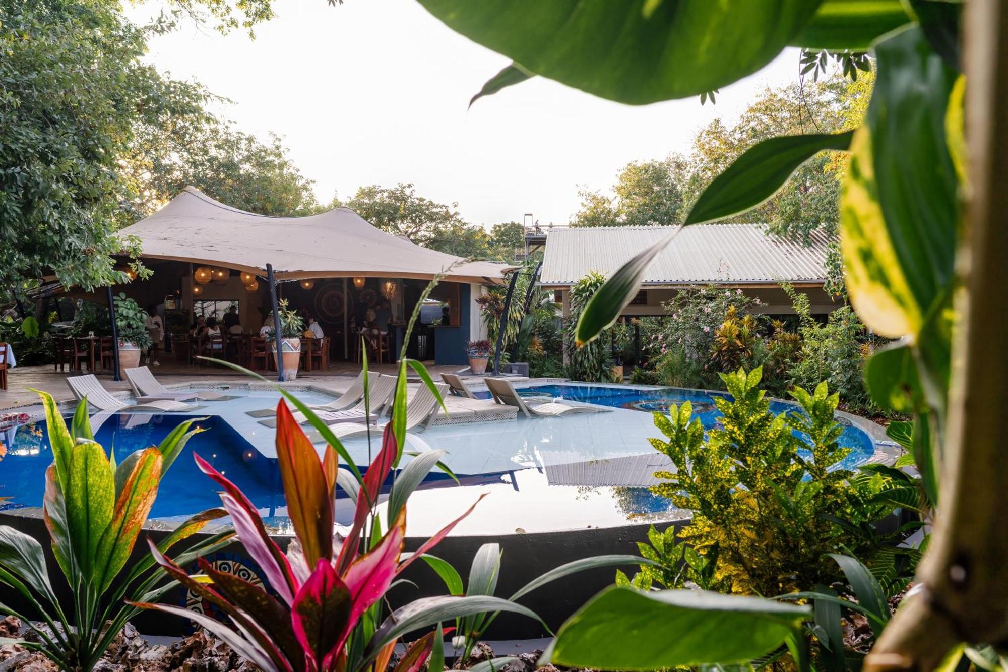 Shongwe Oasis Otel Victoria Falls Dış mekan fotoğraf